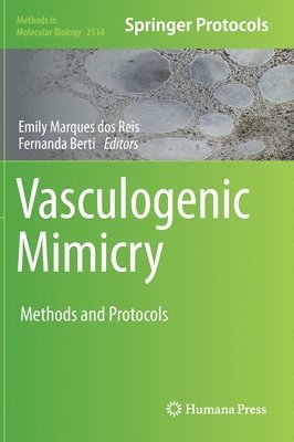 Vasculogenic Mimicry 1