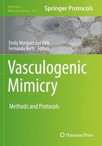 bokomslag Vasculogenic Mimicry