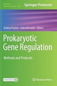 bokomslag Prokaryotic Gene Regulation