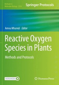 bokomslag Reactive Oxygen Species in Plants