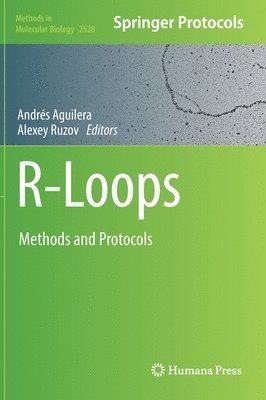 bokomslag R-Loops