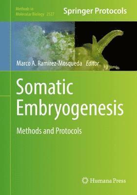 Marco A. Ramírez-Mosqueda, Marco A. Ramirez-Mosqueda - Somatic Embryogenesis, Inbunden