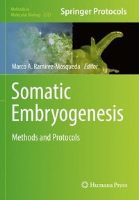 bokomslag Somatic Embryogenesis