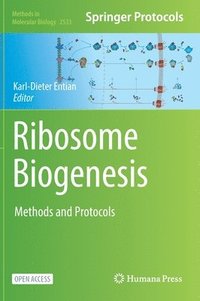 bokomslag Ribosome Biogenesis