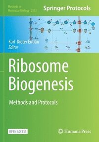 bokomslag Ribosome Biogenesis