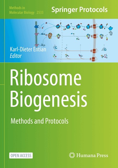 Karl-Dieter Entian - Ribosome Biogenesis, Häftad