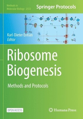 Ribosome Biogenesis 1