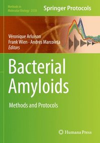 bokomslag Bacterial Amyloids