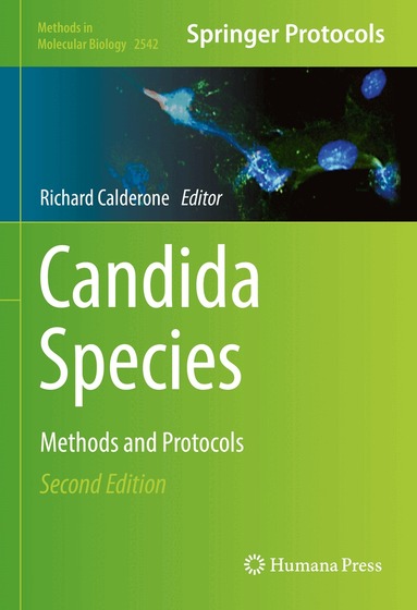 Richard Calderone - Candida Species, Inbunden