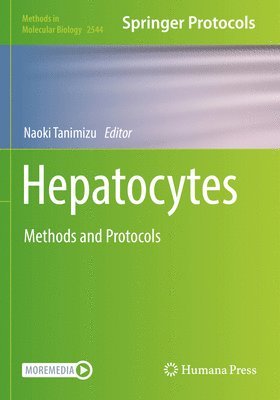Hepatocytes 1