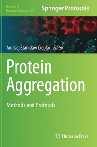 bokomslag Protein Aggregation