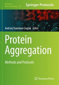 bokomslag Protein Aggregation