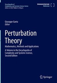 bokomslag Perturbation Theory