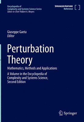 bokomslag Perturbation Theory