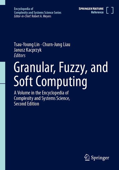 Tsau-Young Lin, Churn-Jung Liau, Janusz Kacprzyk - Granular, Fuzzy, and Soft Computing, Inbunden