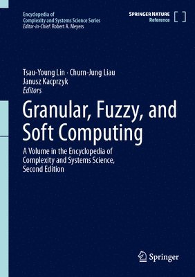 bokomslag Granular, Fuzzy, and Soft Computing