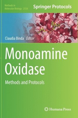 bokomslag Monoamine Oxidase