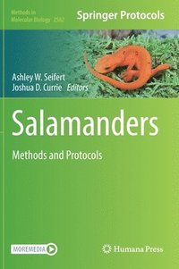 bokomslag Salamanders