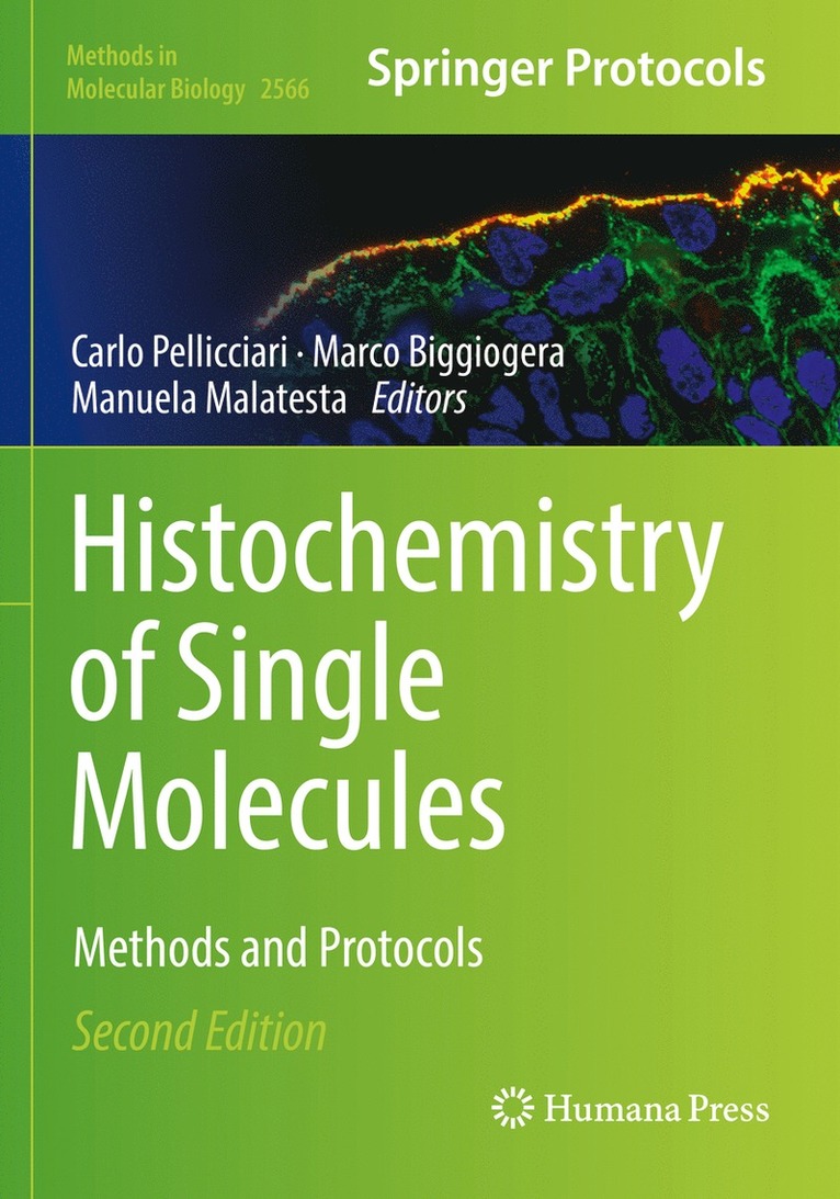 Histochemistry of Single Molecules