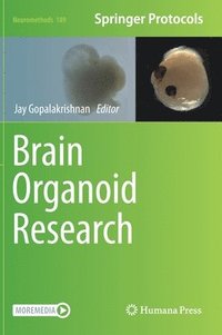 bokomslag Brain Organoid Research