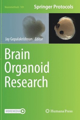 bokomslag Brain Organoid Research