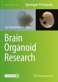 bokomslag Brain Organoid Research