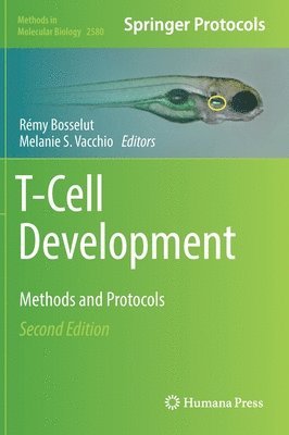 T-Cell Development 1