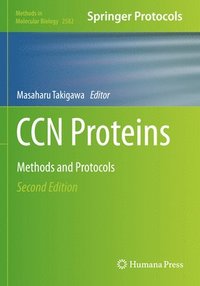 bokomslag CCN Proteins