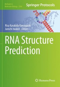 bokomslag RNA Structure Prediction