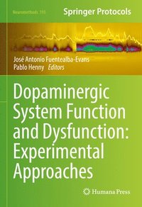 bokomslag Dopaminergic System Function and Dysfunction: Experimental Approaches