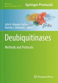 bokomslag Deubiquitinases