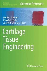 bokomslag Cartilage Tissue Engineering