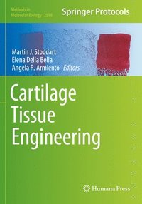 bokomslag Cartilage Tissue Engineering
