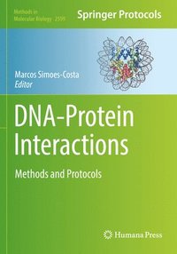 bokomslag DNA-Protein Interactions