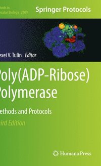 bokomslag Poly(ADP-Ribose) Polymerase