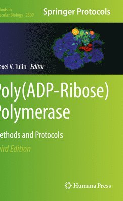 Poly(ADP-Ribose) Polymerase 1