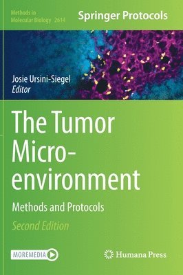 The Tumor Microenvironment 1