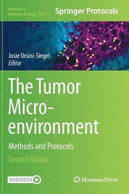 Tumor Microenvironment