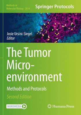 bokomslag The Tumor Microenvironment