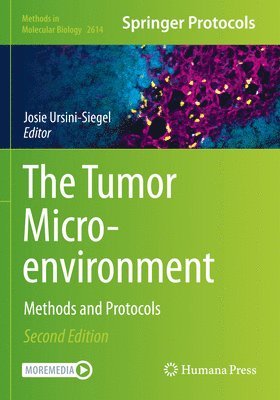 bokomslag Tumor Microenvironment