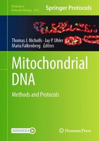 bokomslag Mitochondrial DNA