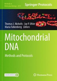 bokomslag Mitochondrial DNA