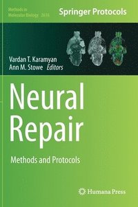 bokomslag Neural Repair