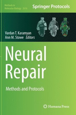Neural Repair