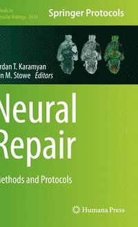 bokomslag Neural Repair