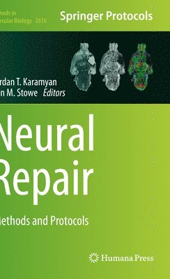 Neural Repair