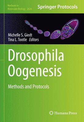 bokomslag Drosophila Oogenesis