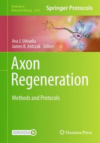 bokomslag Axon Regeneration