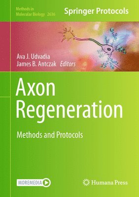 Axon Regeneration 1