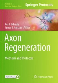 bokomslag Axon Regeneration